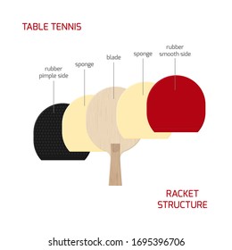 Illustration of table tennis paddle structure. Ping-pong racket from wooden blade, sponge, smooth and pimpled rubber. Vector infographic isolated on white background.