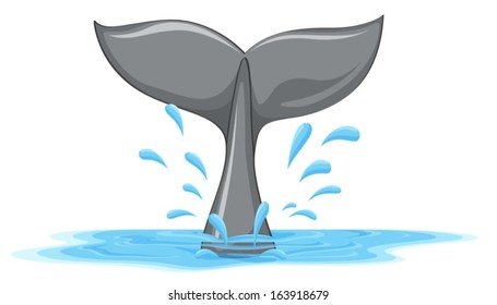 Illustration of a tail of a whale on a white background