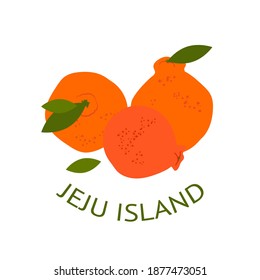 illustration with tangerines from Jeju island. Hallabong. Modern design for packaging, paper, cover, fabric, interior decor, souvenirs and clothes
