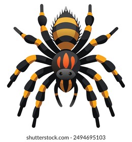 Illustration of Tarantula spider Isolated