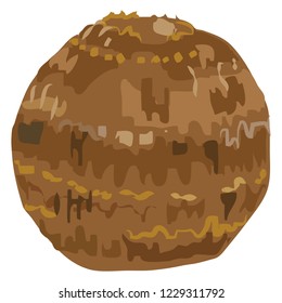 Illustration of the taro