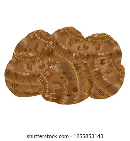 Illustration of the taro