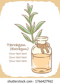 Illustration of tarragon and aromatherapy bottle. Vector illustration.