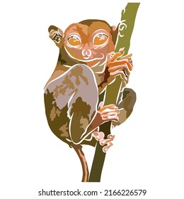 Illustration: Tarsier Images Beautiful, general assembly.