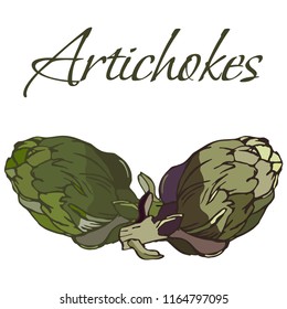 Illustration of Tasty Veggies. Vector Artichokes Isolated on a White Background