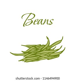 Illustration of Tasty Veggies. Vector Beans Isolated on a White Background