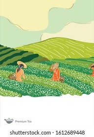 Illustration of tea plantations. People keep tea leaves with female vectors and green trees forest trees and sunrise nature scenery