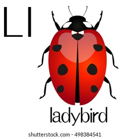Illustration for teaching children the English alphabet with cartoon ladybird. The letter L.