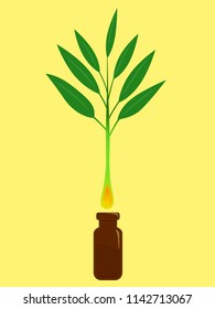 Illustration Of A Tee Tree Plant With Oil Dropping Down A Brown Bottle