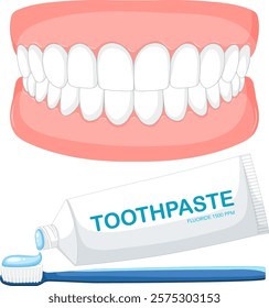 Illustration of teeth, toothpaste, and toothbrush