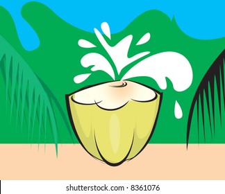 Illustration of tender coconut between coconut tree leaves