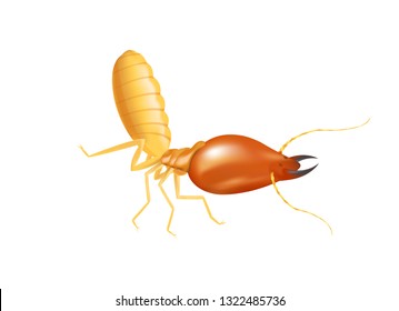 illustration termite isolated on white background, insect species termite ant eaten wood decay and damaged wooden bite, cartoon termite clip art, animal type termite or white ants (vector)