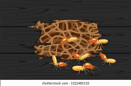 illustration termite nest at wooden black wall, burrow nest termite and wood decay, texture wood with nest termite or white ant, background damaged white wooden eaten by termite or white ants (vector)