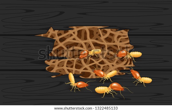 illustration termite nest at wooden black wall,
burrow nest termite and wood decay, texture wood with nest termite
or white ant, background damaged white wooden eaten by termite or
white ants
(vector)