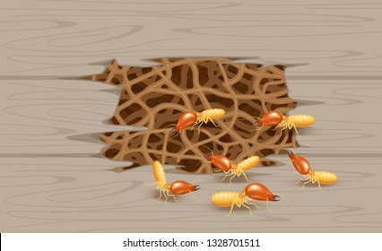 illustration termite nest at wooden wall, burrow nest termite and wood decay, texture wood with nest termite or white ant, background damaged white wooden eaten by termite or white ants