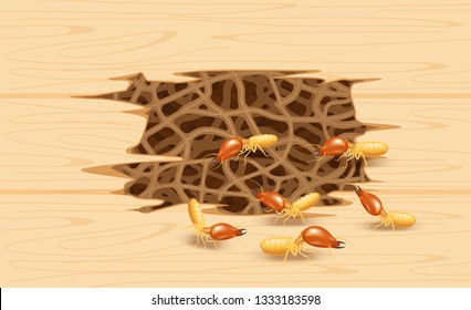 illustration termite nest at wooden wall, burrow nest termite and wood decay, texture wood with nest termite or white ant, background damaged wooden brown eaten by termite or white ants