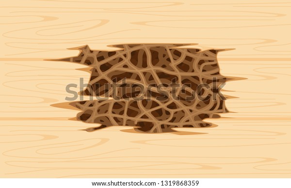 illustration termite nest at wooden wall, burrow\
nest termite and wood decay, texture wood with nest termite or\
white ant, background damaged white wooden eaten by termite or\
white ants\
(vector)