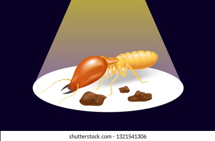 illustration termite on the dark background and spotlight shine, insect species termite ant eaten wood decay and damaged wooden bite, cartoon termites clip art, animal type termites or white ants