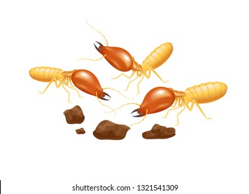 illustration termites isolated on white background, insect species termite ant eaten wood decay and damaged wooden bite, cartoon termite clip art, animal type termite or white ants (vector)