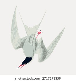 Ilustración de un charrán en vuelo. El charrán, con sus elegantes alas, se representa a mitad de la inmersión. La ilustración de la linterna muestra la forma elegante y el movimiento dinámico del pájaro. Vector de ilustración de animales de Antiguas.