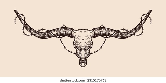 Illustration of a Texas bull or buffalo skull drawing wrapped around barbed wire.