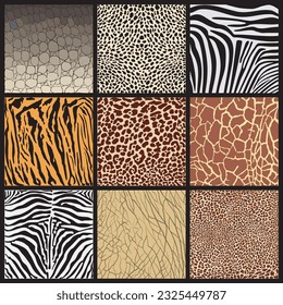 Illustration texture skins of wild animals living in Africa