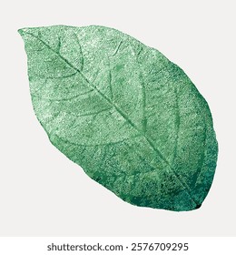 Illustration of a textured green leaf with detailed veins. The green leaf stands out with its natural texture. Leaf design perfect for nature-themed projects. Vintage art, isolated vector element.