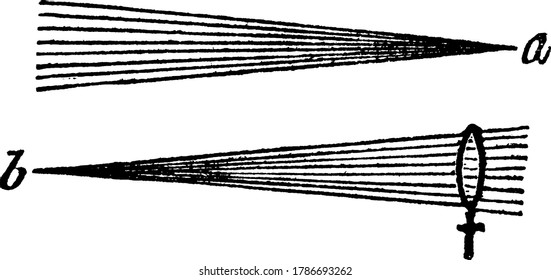 An illustration that shows, rays of light are said to converge, when they approach each other in such a direction as finally to meet at a point, as at 'b', vintage line drawing or engraving.