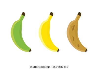 Ilustração de três bananas em diferentes estágios de maturação verde, amarelo e marrom.