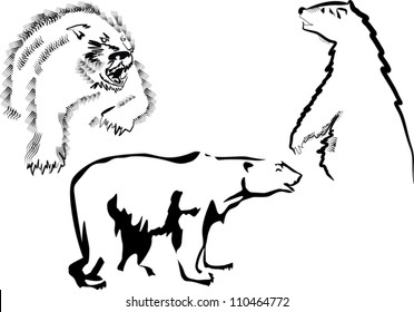 illustration with three bear sketches isolated on white background