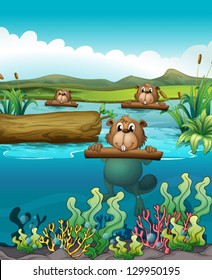 Illustration of the three beavers in the river