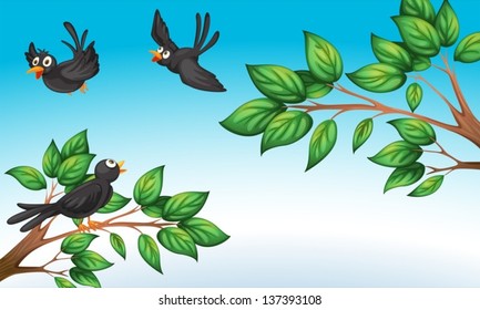 Illustration of the three birds at the forest