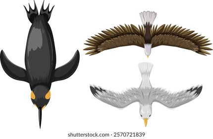 Illustration of three birds soaring in the sky