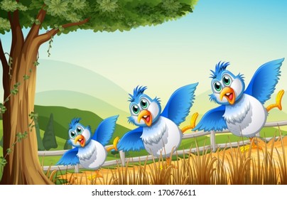 Illustration of the three birds under the tree
