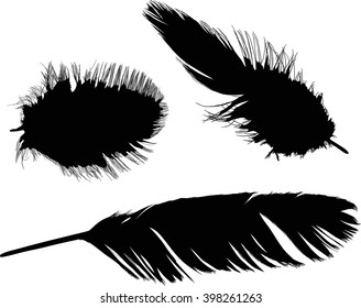 ilustración con tres plumas negras aisladas en fondo blanco