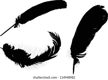 Illustration mit drei schwarzen Federn auf weißem Hintergrund