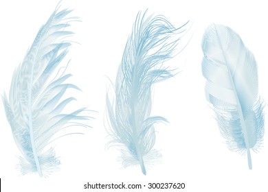 Illustration With Three Blue Feathers Isolated On White Background