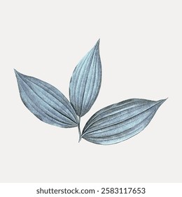 Illustration of three blue leaves with textured veins. The leaves are arranged in a simple, elegant pattern. Blue leaves create a calming, natural vibe. Vintage botanical vector illustration.