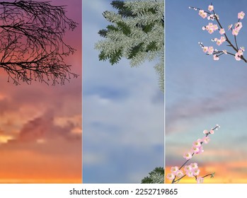illustration with three branches on different sky backgrounds