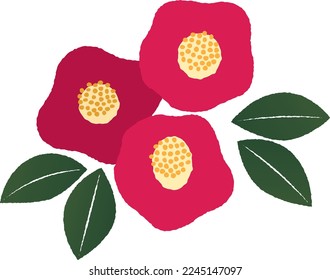 Illustration of three camellia flowers handwritten style