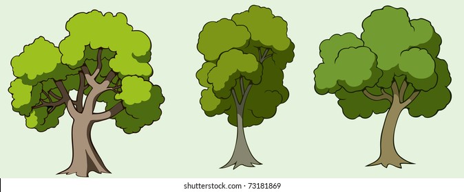 Illustration of three cartoon drawn trees