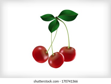 Illustration of three cherries with leaves and background