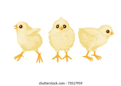illustration of three chickens on white background