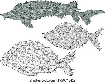 ilustración con tres peces complejos aislados en fondo blanco
