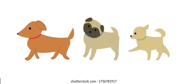 Illustration of three different dogs. Dachshund, pug and chihuahua.