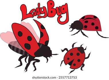 illustration of three different ladybug on white background