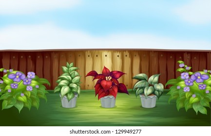 Illustration der drei verschiedenen Pflanzenarten in einem grauen Topf