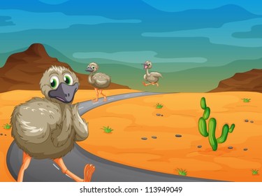 illustration of three emu passing on road
