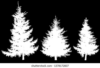 illustration with three fir silhouettes isolated on black background