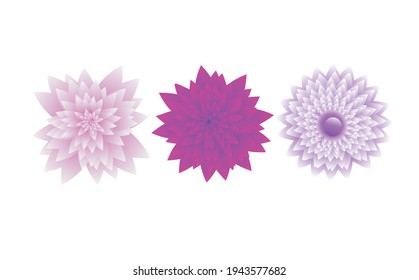 Illustration von drei Blumen in schöner und hübscher Farbe.